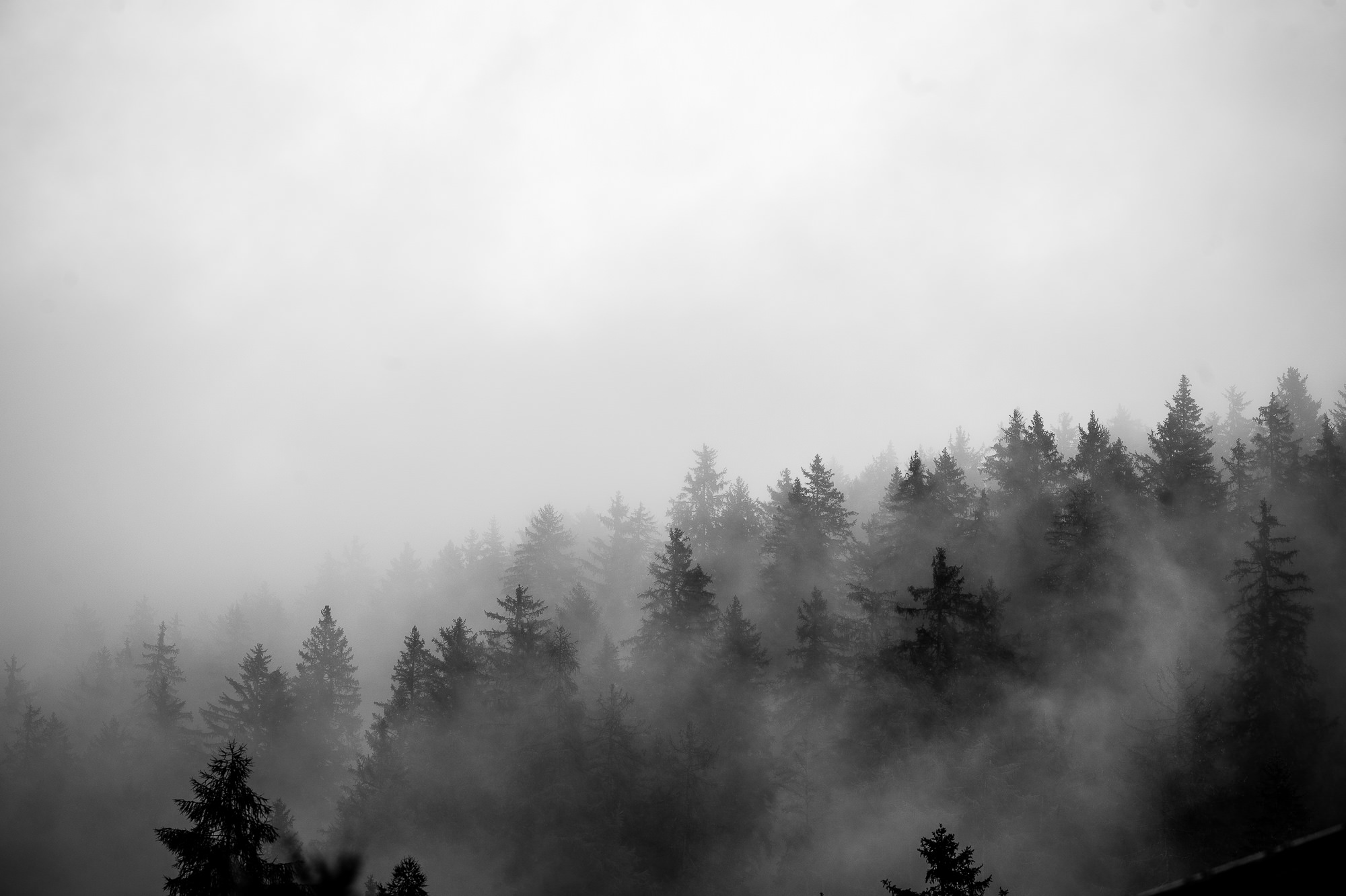 Export x3 1DX23868 Fotoshooting 2018 Annette & Mike Nauders 3